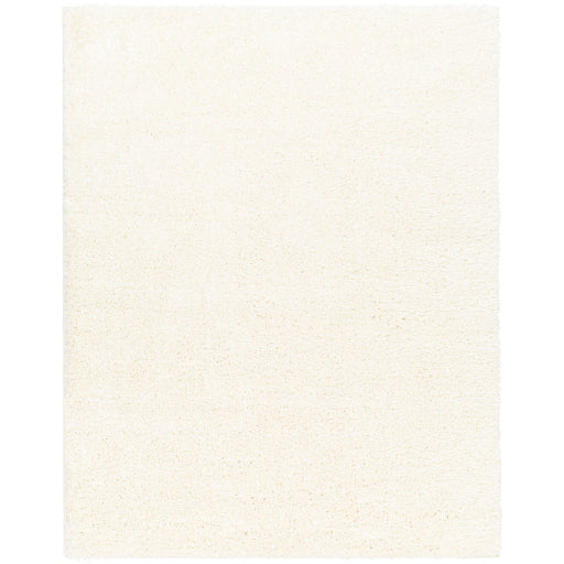 Surya Moda Shag MOG-2302 Area Rug