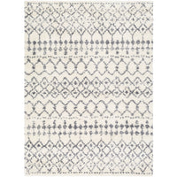 Surya Maroc Shag MRS-2310 Area Rug