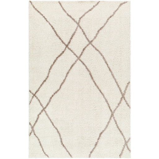 Surya Maryland Shag MSG-2302 Area Rug