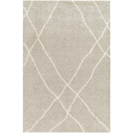 Surya Maryland Shag MSG-2303 Area Rug