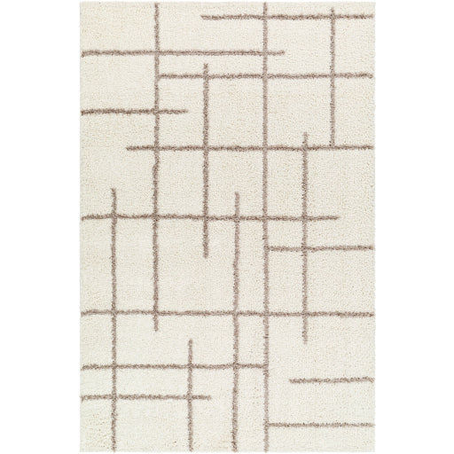 Surya Maryland Shag MSG-2304 Area Rug