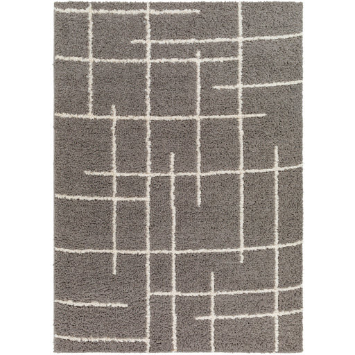 Surya Maryland Shag MSG-2305 Area Rug