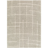 Surya Maryland Shag MSG-2307 Area Rug