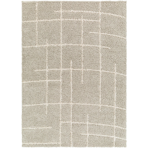 Surya Maryland Shag MSG-2307 Area Rug