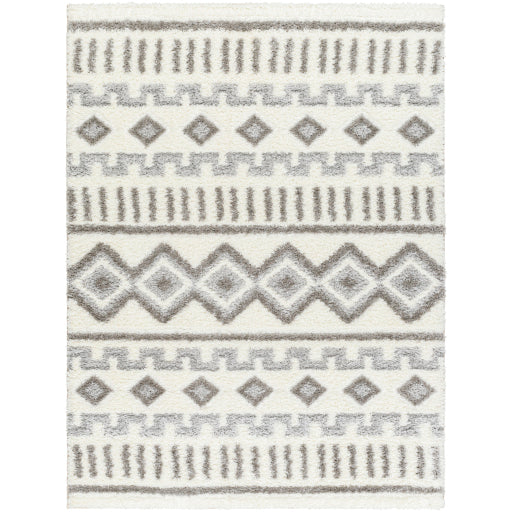 Surya Nomadic NMC-2302 Area Rug