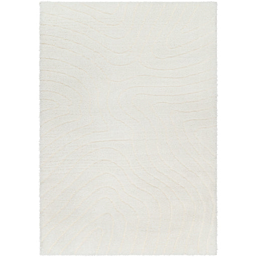 Surya Nomadic NMC-2315 Area Rug