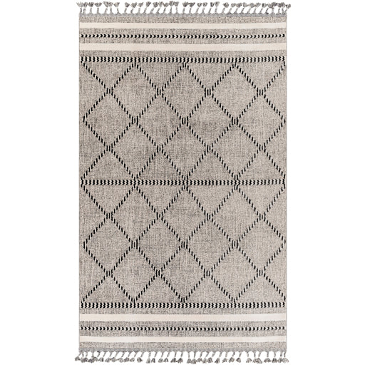 Surya Palermo PLR-2301 Area Rug