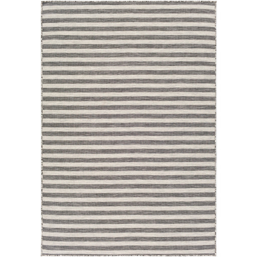 Surya Pasadena PSA-2304 Area Rug