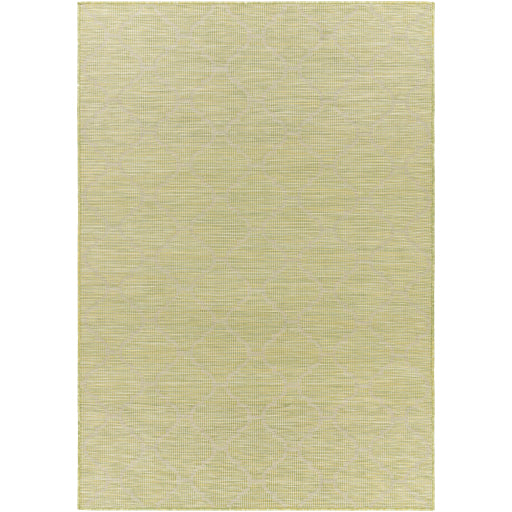 Surya Pasadena PSA-2337 Area Rug