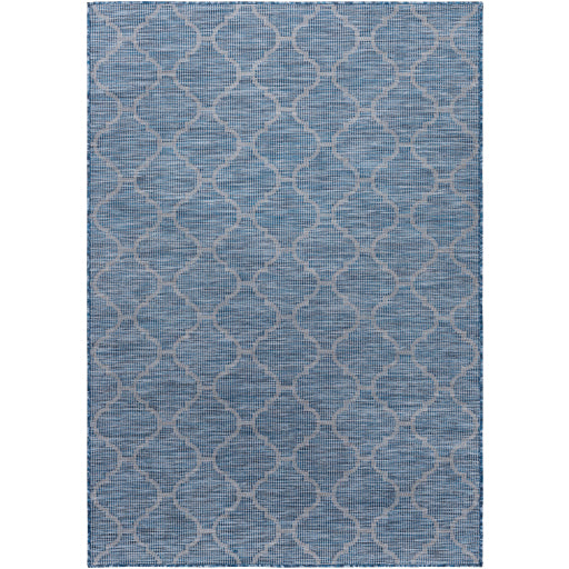 Surya Pasadena PSA-2340 Area Rug