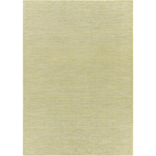 Surya Pasadena PSA-2372 Area Rug