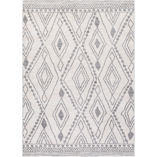 Surya Positano PSN-2303 Area Rug