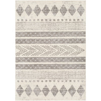 Surya Pisa PSS-2306 Area Rug