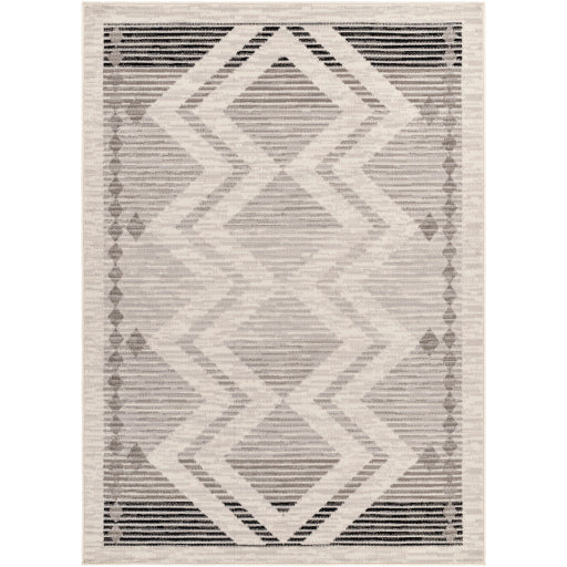 Surya Pisa PSS-2353 Area Rug