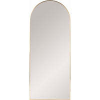 Aranya RAY-005 67"H x 28"W Mirror