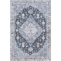 Surya Regen RGE-2307 Area Rug