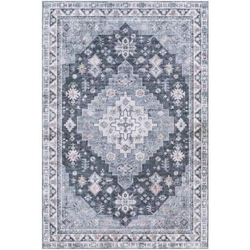 Surya Regen RGE-2307 Area Rug