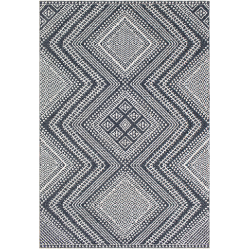 Surya Ariana RIA-2301 Area Rug at Creative Carpet & Flooring