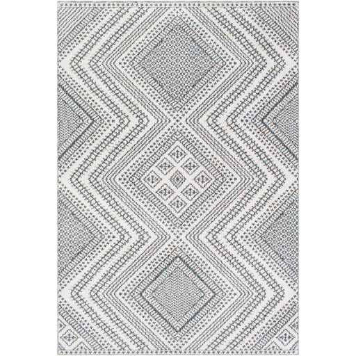 Surya Ariana RIA-2302 Area Rug at Creative Carpet & Flooring