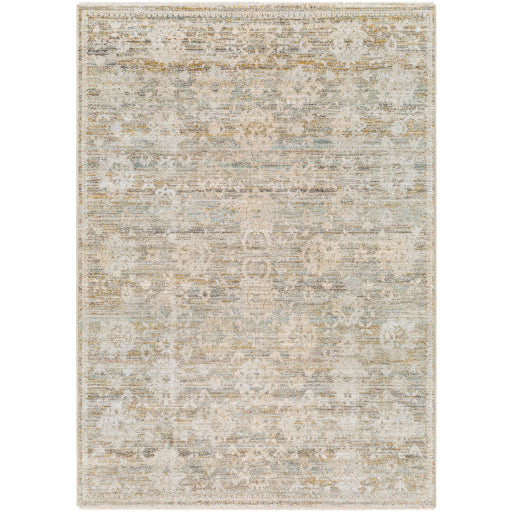 Surya Rojin ROJ-2304 Area Rug