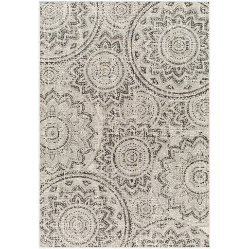 Surya Ravello RVL-2314 Area Rug