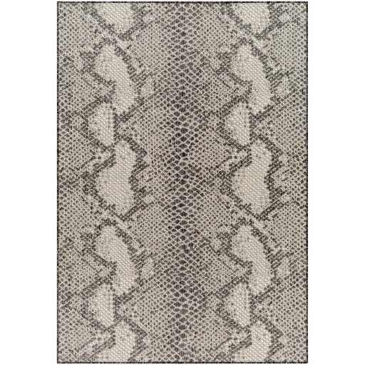 Surya Ravello RVL-2347 Area Rug