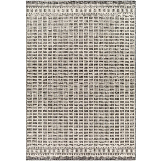 Surya Ravello RVL-2362 Area Rug