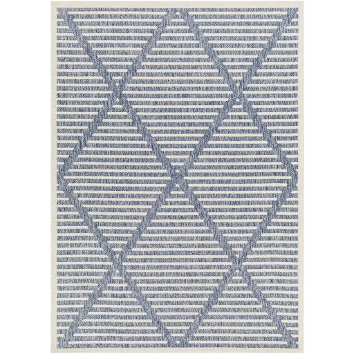 Surya San Diego SFG-2320 Area Rug