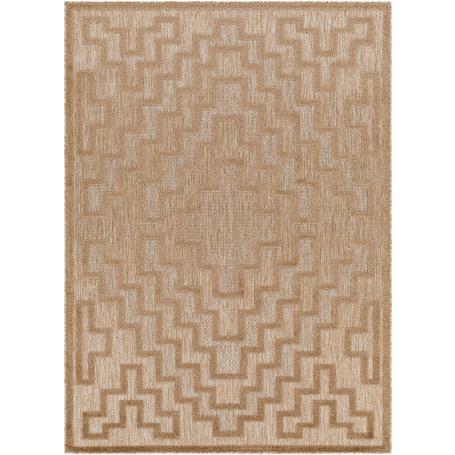 Surya San Diego SFG-2329 Area Rug