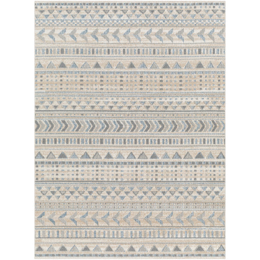 Surya Santana SNN-2305 Area Rug