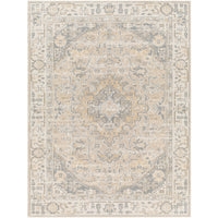 Surya Santana SNN-2307 Area Rug