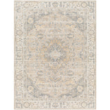 Surya Santana SNN-2307 Area Rug