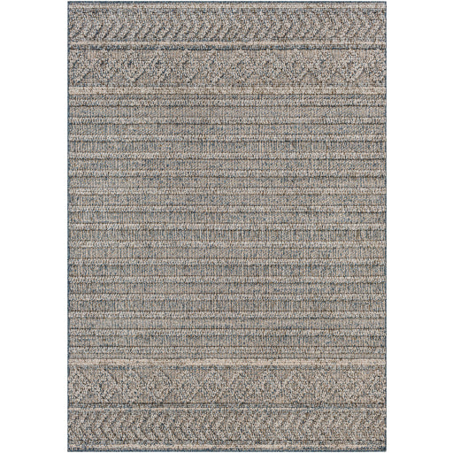 Surya Sarasota SSO-2304 Area Rug