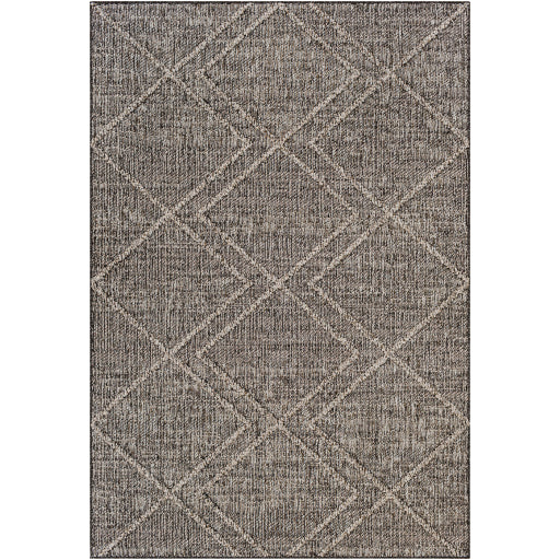 Surya Sarasota SSO-2306 Area Rug