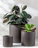 Seastone SST-008 Planter