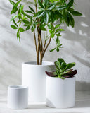 Seastone SST-009 Planter