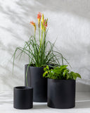 Seastone SST-010 Planter