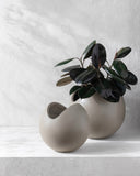 Seastone SST-013 Planter