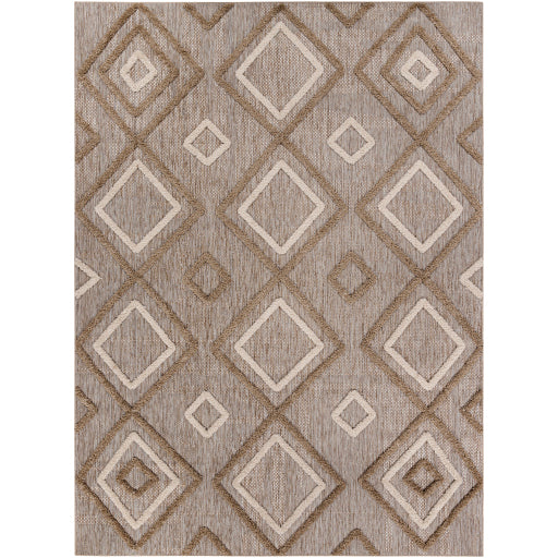 Surya Toledo TLD-2305 Area Rug