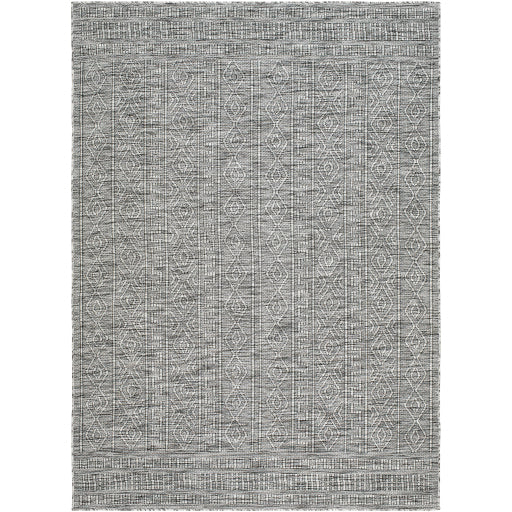 Surya Terrace TRC-2302 Area Rug