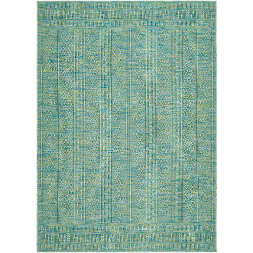 Surya Terrace TRC-2307 Area Rug