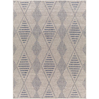 Surya Tuareg TRG-2349 Area Rug