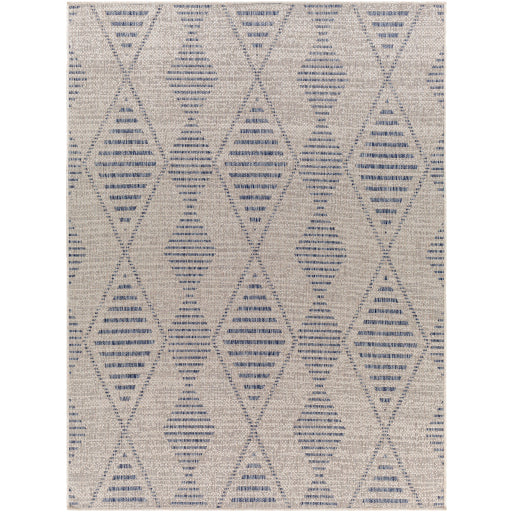 Surya Tuareg TRG-2349 Area Rug