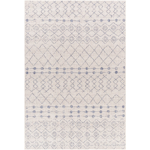 Surya Tuareg TRG-2387 Area Rug