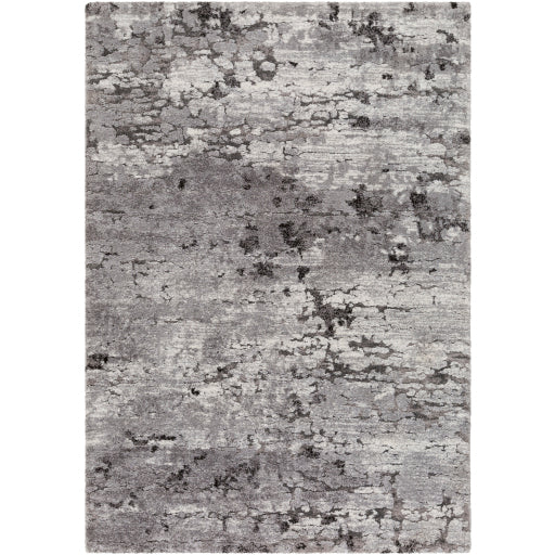 Surya Tuscany TUS-2310 Area Rug