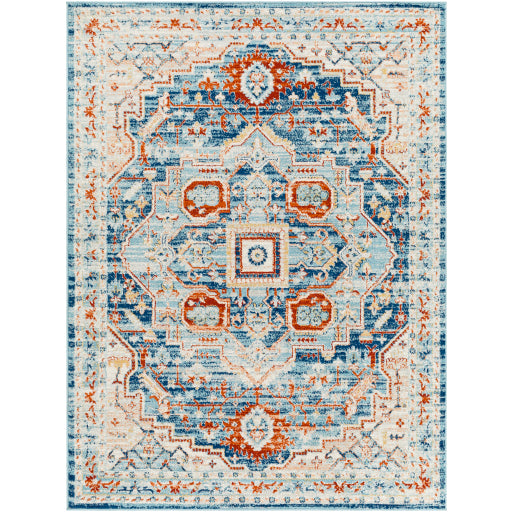 Surya Tevazu TVZ-2328 Area Rug