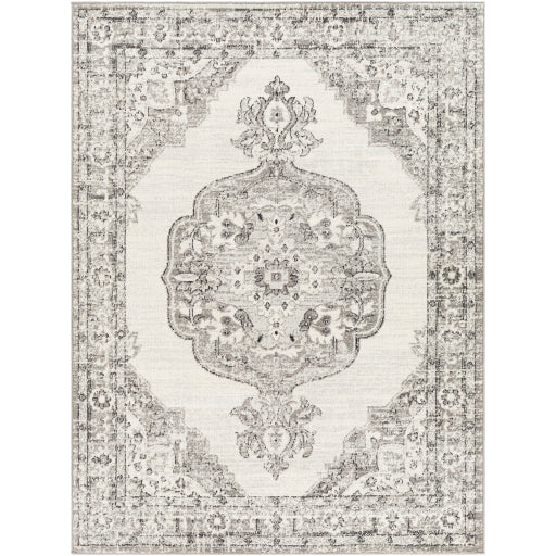 Surya Tevazu TVZ-2371 Area Rug