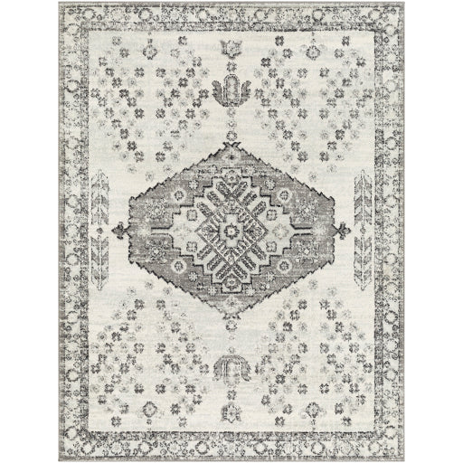 Surya Tevazu TVZ-2377 Area Rug