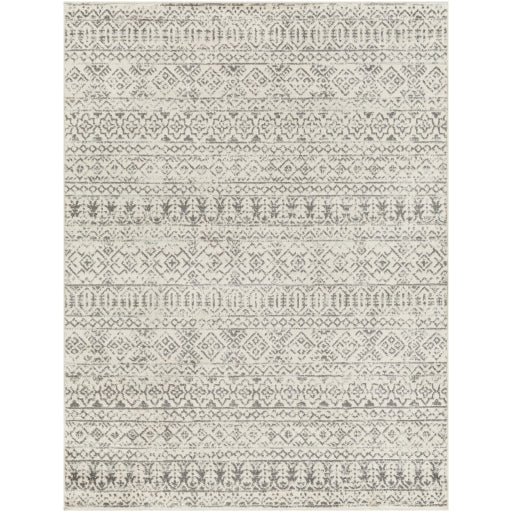 Surya Tevazu TVZ-2379 Area Rug