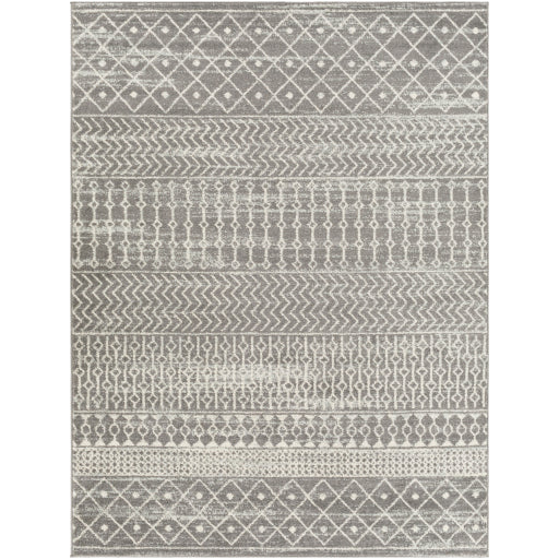 Surya Tevazu TVZ-2387 Area Rug